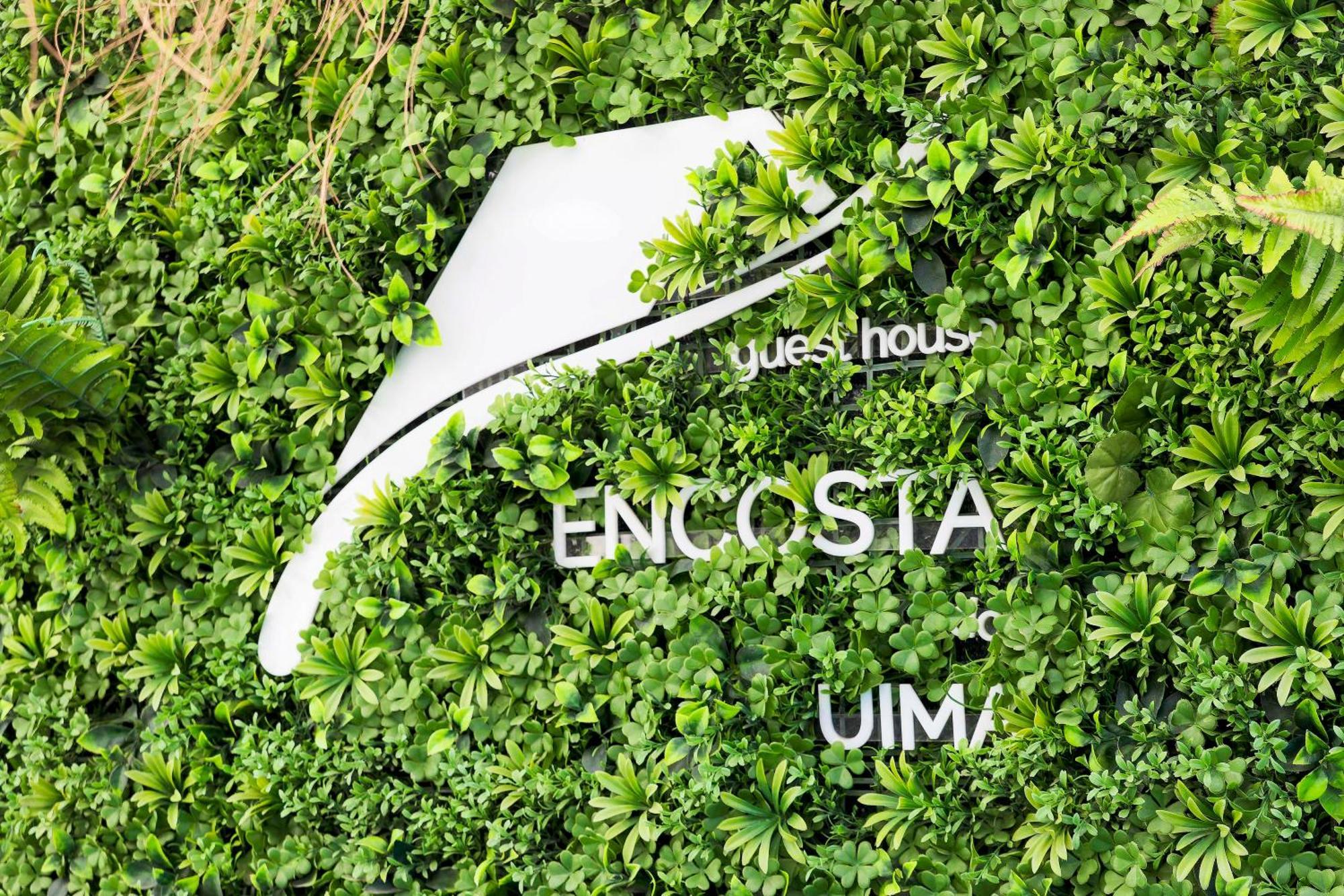 Encosta Do Uima - Guest House Caldas de Sao Jorge Eksteriør bilde